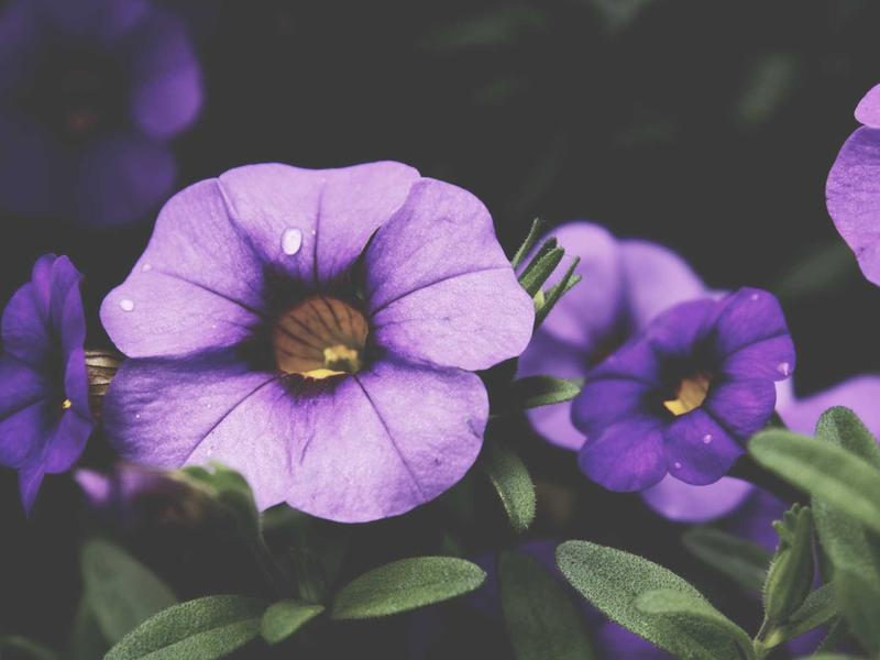 sudoku tricks screenshot 6